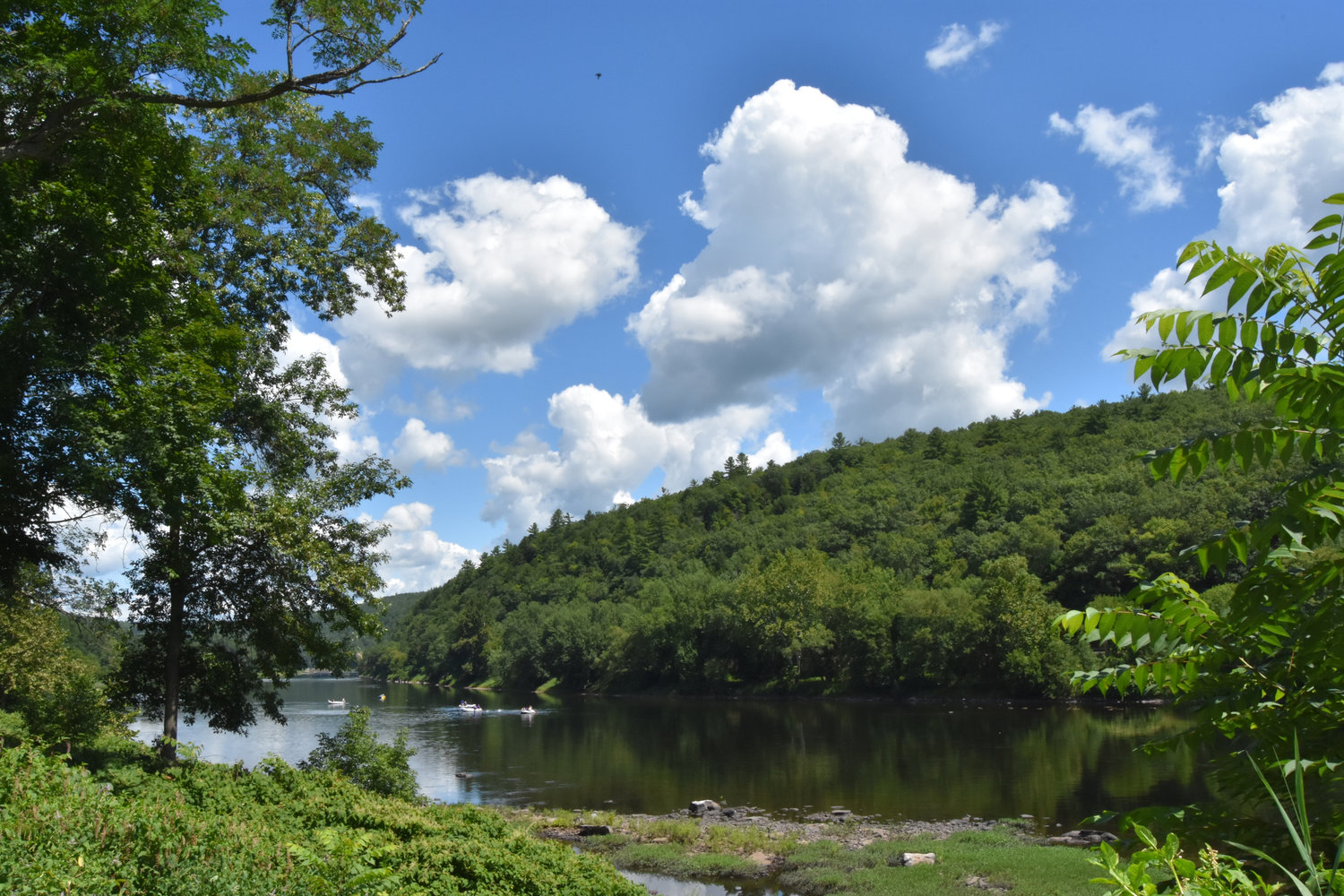 Who would want to protect the Delaware River and the natural resources of its watershed? With the reversal of the Delaware River Basin Commission’s recent fracking ban, the pressure to leave a healthy legacy for future generations has been lifted. What a relief!